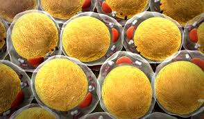 Bạn vẫn có thể giảm cân khi tế bào mỡ đã phồng và nhân lên.