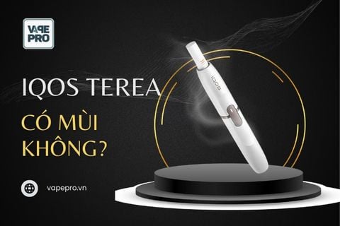 iqos-terea-co-mui-khong-co-bao-nhieu-nicotine-trong-iqos-terea