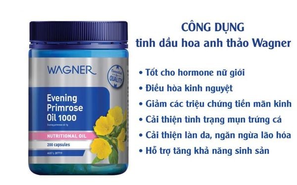Công dụng tuyệt vời đối với người dùng