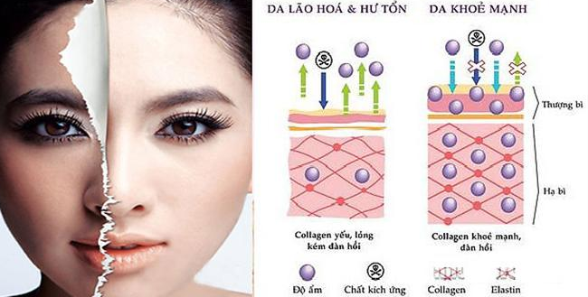So sánh làn da thiếu Collagen và làn da được bổ sung đủ Collagen