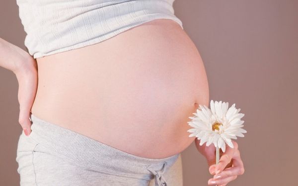 Elevit hỗ trợ đắc lực cho các bà mẹ trong giai đoạn mang thai