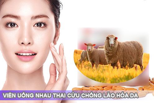 Những ai nên dùng nhau thai cừu?