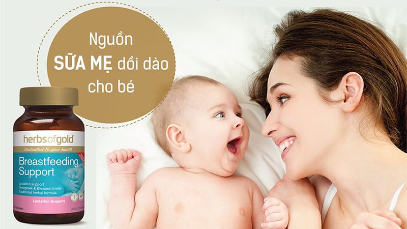 [REVIEW] Lợi sữa Herbs of Gold Breastfeeding Support có tốt không?