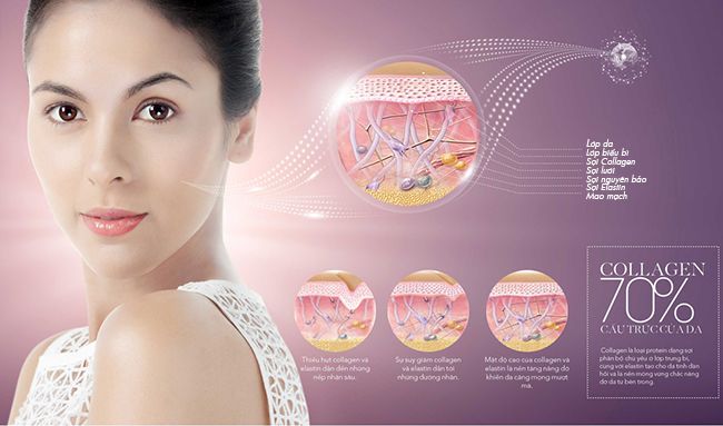 Vai trò của collagen?