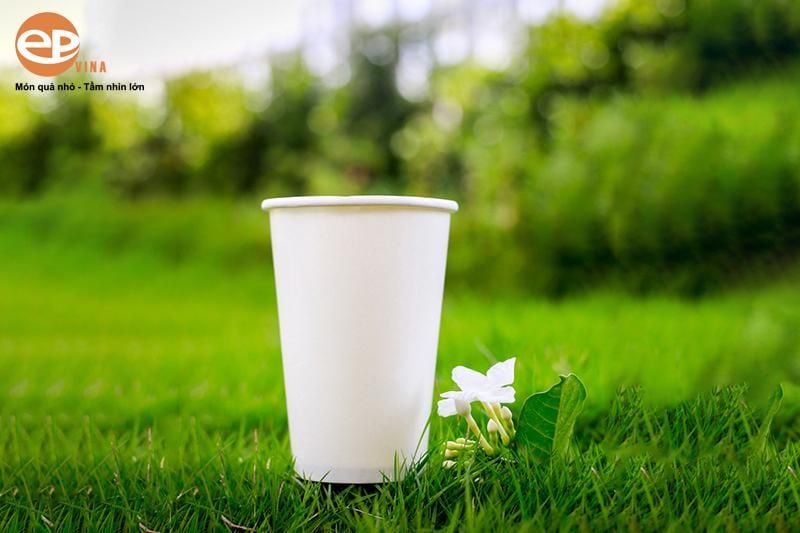 Sản phẩm cốc giấy an toàn cho người dùng và thân thiện với môi trường