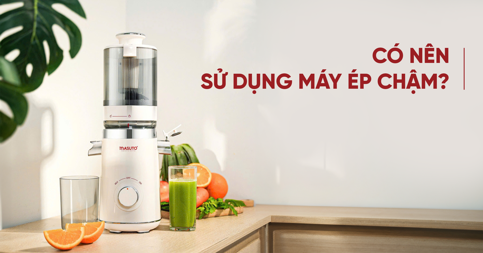 Máy Ép Chậm Là Gì? Có Nên Mua Máy Ép Chậm Không?