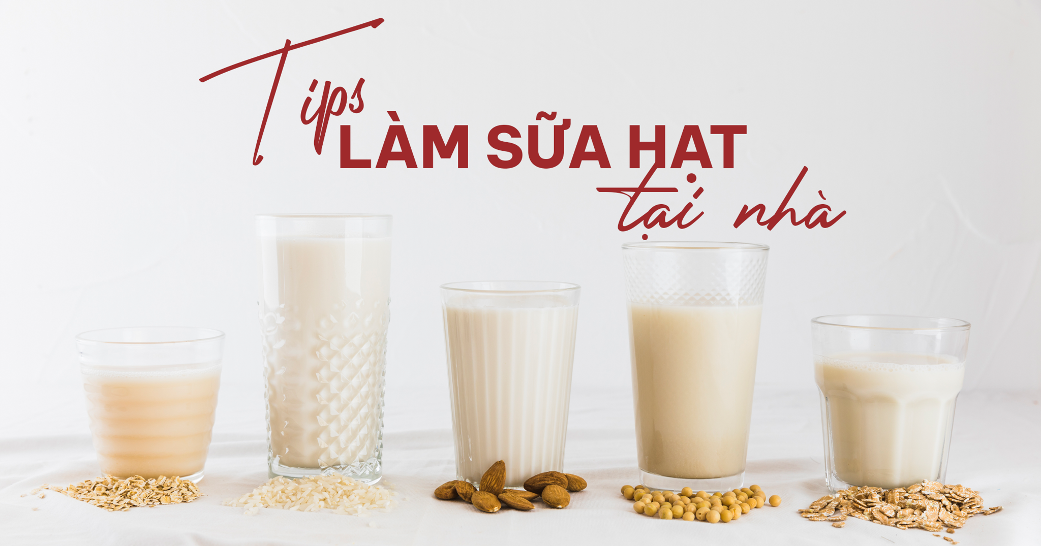 Bỏ Túi Tips Hữu Ích Làm Sữa Hạt Tại Nhà Cực Thơm Ngon Và Giàu Dinh Dưỡng