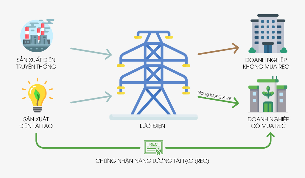 dien-mat-troi-nang-luong-sach-chung-nhan-rec