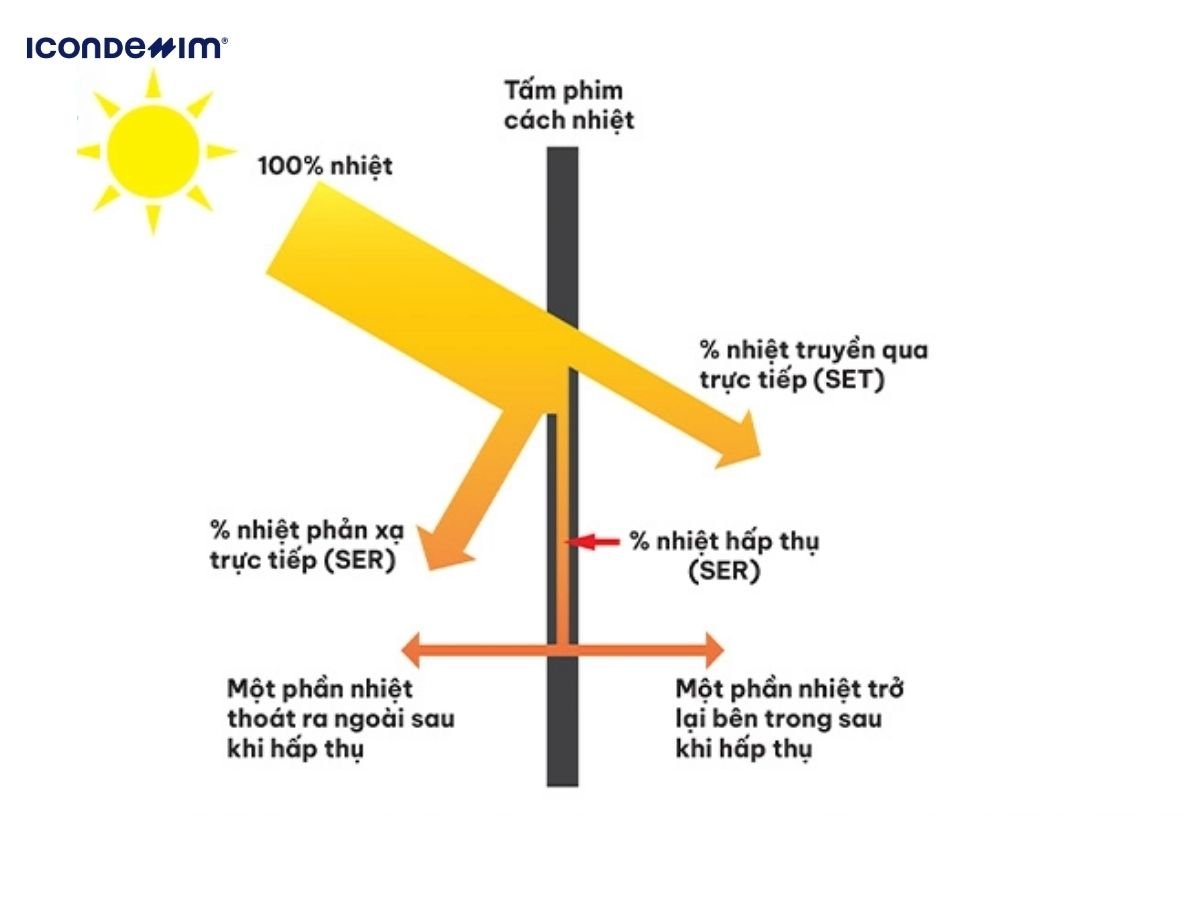 Màu sắc mà chúng ta nhìn thấy chính là nhờ khả năng hấp thụ và phản xạ ánh sáng