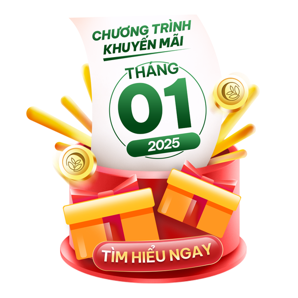 KHỞI ĐỘNG NĂM MỚI 2025 VỚI CHUỖI SIÊU KHUYẾN MÃI TẠI C'CHOI!
