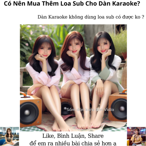 Có Nên Mua Thêm Loa Sub Cho Dàn Karaoke?