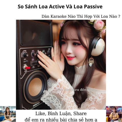So Sánh Loa Active Và Loa Passive, Dàn Karaoke Nào Thì Hợp Với Loa Nào ?