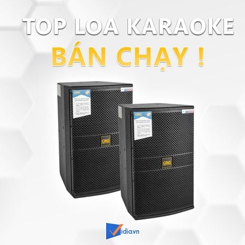 Top 6 Loa Karaoke Bán Chạy Nhất Thị Trường Hiện Nay