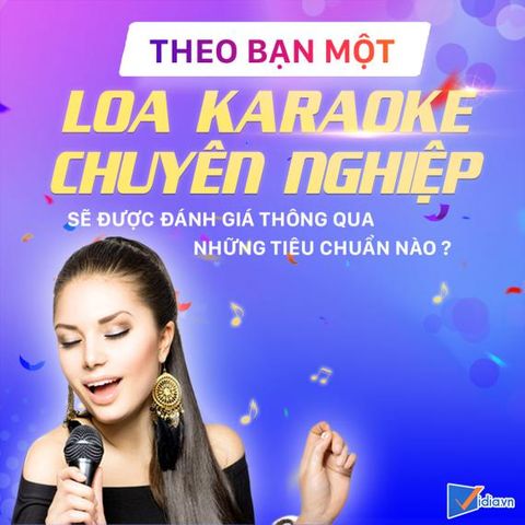 Loa Karaoke Chuyên Nghiệp Cần Phải Có Những Gì?