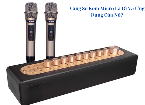 Vang Số Kèm Micro Là Gì Và Ứng Dụng Của Nó?