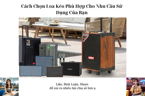 Cách Chọn Loa Kéo Phù Hợp Cho Nhu Cầu Sử Dụng Của Bạn