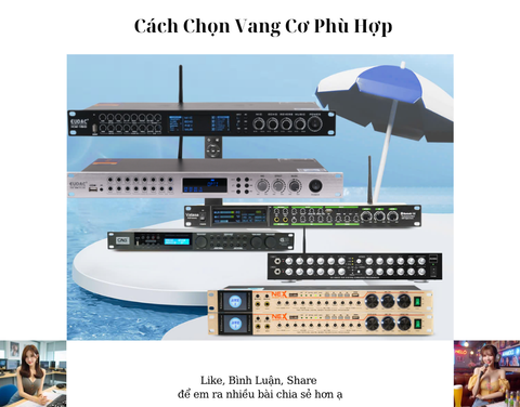 Cách Chọn Vang Cơ Phù Hợp