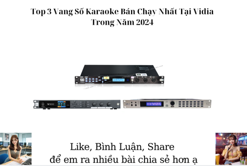 Top 3 Vang Số Karaoke Bán Chạy Nhất Tại Vidia Trong Năm 2024