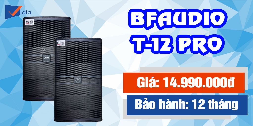 Loa Karaoke kinh doanh tầm trung - BFAUDIO T12 - 4