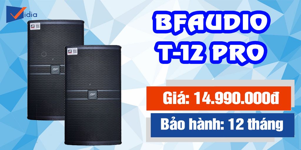 Thiết bị nghe nhìn: Loa Karaoke kinh doanh tầm trung - BFAUDIO T12  Bft12_pro-4_1024x1024