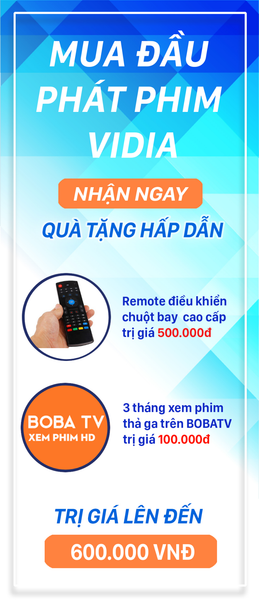 qua-tang-dau-phat-vidia