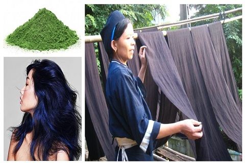 Cách nhuộm tóc đen tại nhà bằng bột lá móng và bột lá chàm