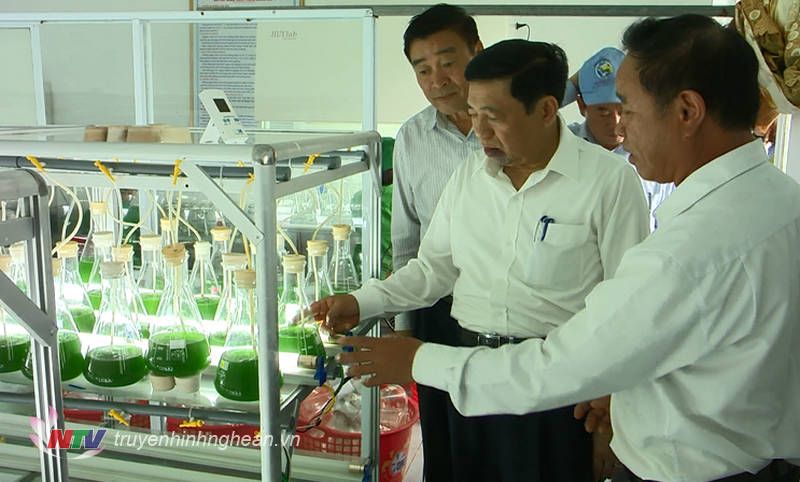 Chủ tịch UBND tỉnh Nguyễn Xuân Đường thăm Nhà máy sản xuất Tảo xoắn Spirulina tại huyện Quỳnh Lưu