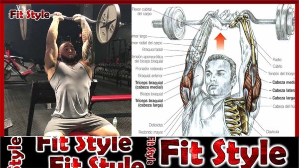 14 Bài Tập Tay Trước, Tay Sau và Cơ Tam Hiệu Quả Nhất Cho Dân Tập Gym