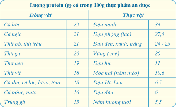 18 Loại Thực Phẩm Chứa Nhiều Protein Nhất (Động Vật, Thực Vật, Thịt Cá, Rau Củ Đậu,...)