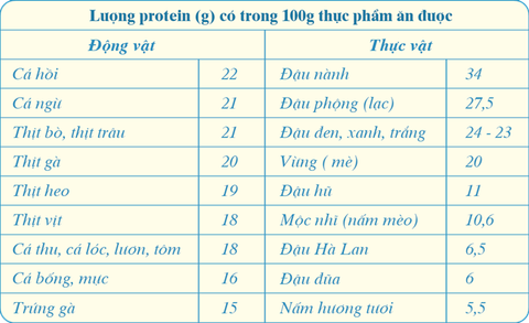 18 Loại Thực Phẩm Chứa Nhiều Protein Nhất (Động Vật, Thực Vật, Thịt Cá, Rau Củ Đậu,...)