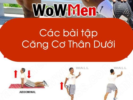 Các Bài Tập Căng Cơ Phần Body Dưới (Đùi - Mông - Chân - Hông)