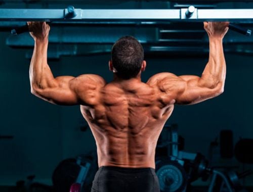 Phần 2 - Các Bài Tập Lưng Và Cơ Xô Hiệu Quả Cho Nam