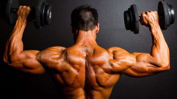 12 Bài Tập Cơ Xô Lưng Hiệu Quả Nhất Giúp Cơ Xô Nhanh To Hơn