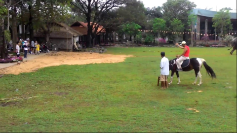Địa Điểm Chơi Và Học Cưỡi Ngựa Tại TPHCM, Hà Nội