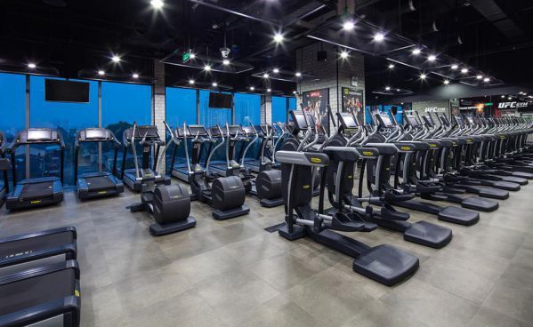 Tổng Hợp Các Phòng Tập Gym / Câu Lạc Bộ Thể Hình Quận 2, TPHCM