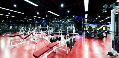 Các Phòng Tập Gym / Câu Lạc Bộ Thể Hình Tại Quận Long Biên, Hà Nội