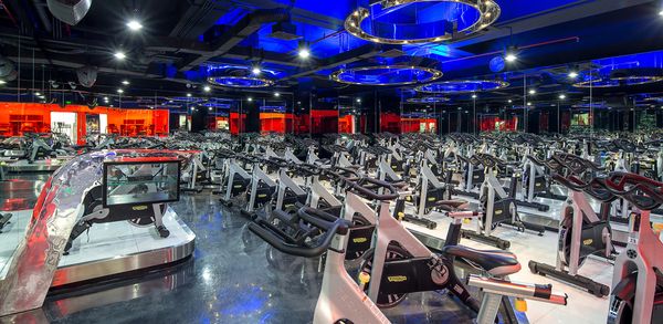 Các Phòng Tập Gym / Câu Lạc Bộ Thể Hình Tại TP Cần Thơ