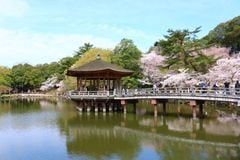 Nét duyên thầm trong lòng Nhật Bản mang tên Nara