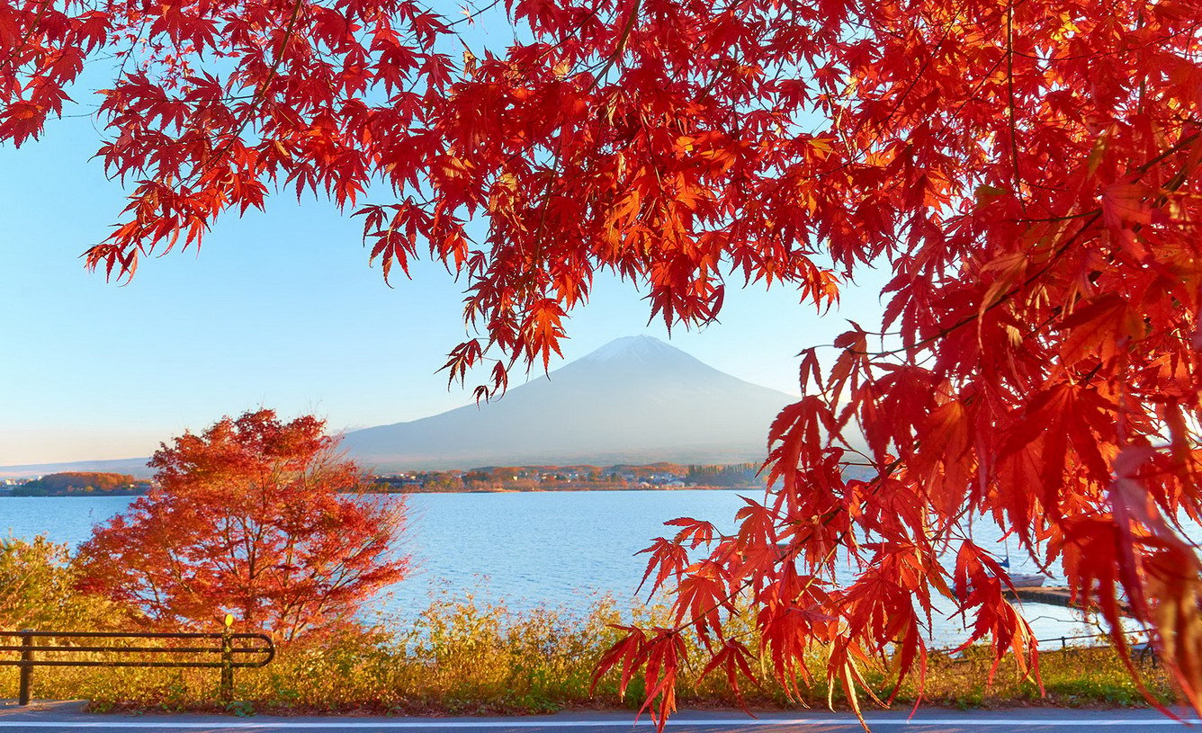 Du lịch Nhật Bản vào thời gian nào là lý tưởng?
