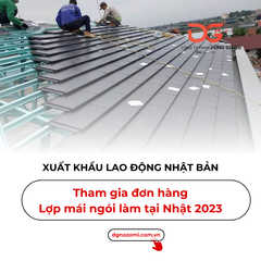 ĐƠN HÀNG LỢP MÁI NGÓI LÀM VIỆC TẠI NHẬT BẢN 2023