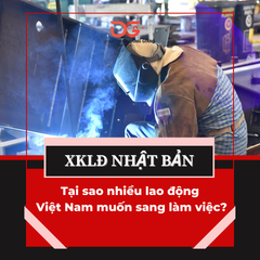 TẠI SAO NHIỀU LAO ĐỘNG VIỆT NAM MUỐN SANG NHẬT BẢN LÀM VIỆC?