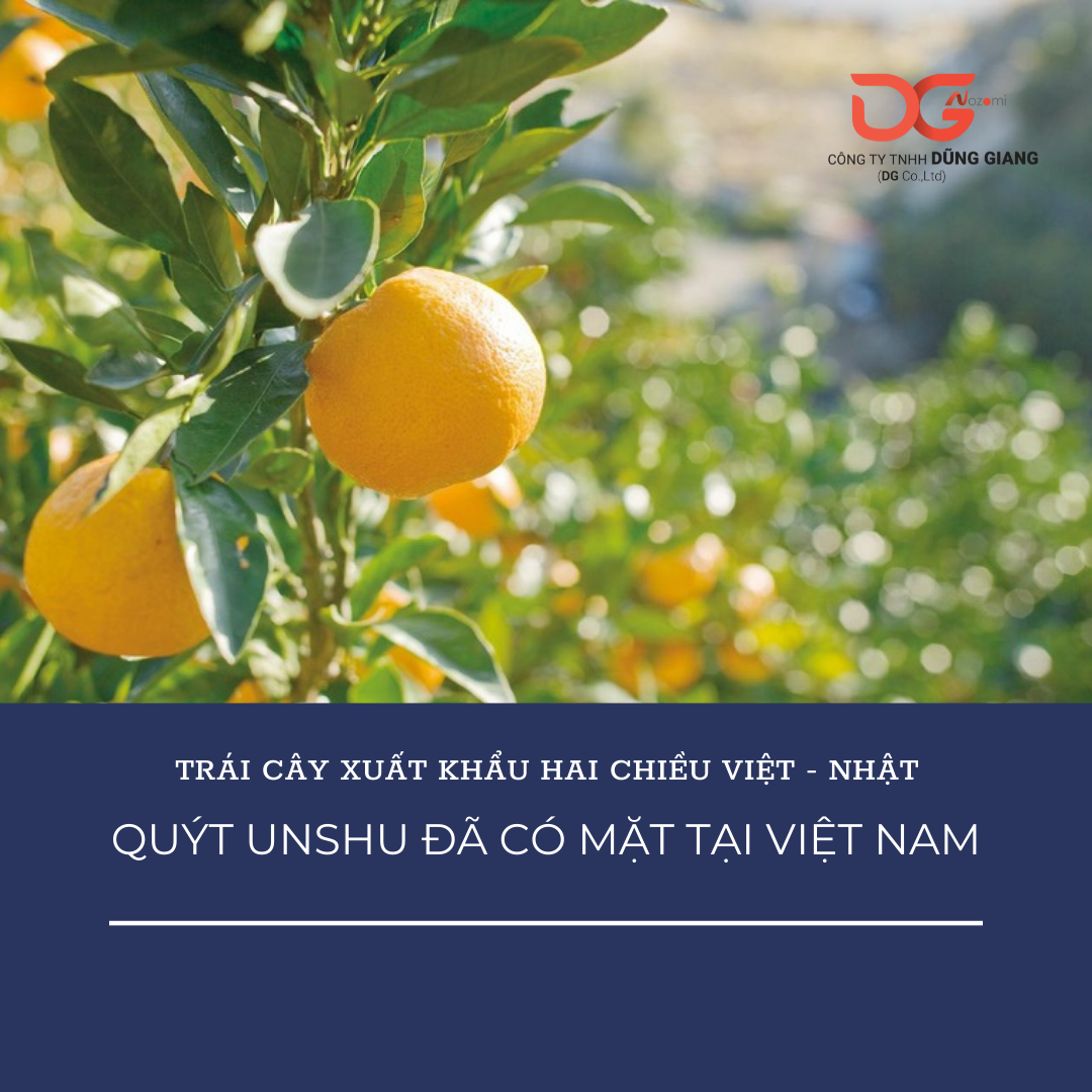 TRÁI CÂY XUẤT KHẨU HAI CHIỀU VIỆT - NHẬT