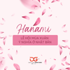 HANAMI - LỄ HỘI MÙA XUÂN Ý NGHĨA Ở NHẬT BẢN