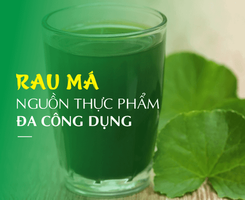 RAU MÁ: NGUỒN THỰC PHẨM ĐA CÔNG DỤNG