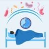 Cải thiện hệ miễn dịch qua giấc ngủ