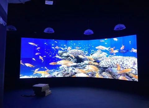du an thuy cung lotte world aquarium
