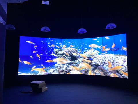 Dự án Thủy Cung Lotte World Aquarium