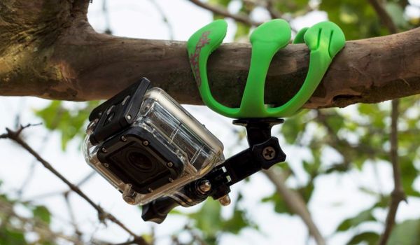 chammart-gekkopod-green-6