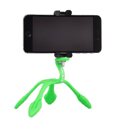 chammart-gekkopod-green-7