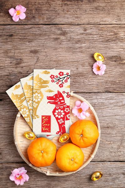 chammart-phu-kien-thong-minh-bao-li-xi-tet-2018-bao-li-xi-tet-mau-tuat-38